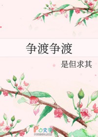 争渡争渡小说